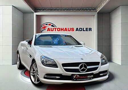 Mercedes-Benz SLK 250 CDI BLE*2HD*AUTOM*PDC*NAV*SH*PANORMA*LED