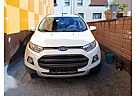 Ford EcoSport 1.0 EcoBoost 1.Hand