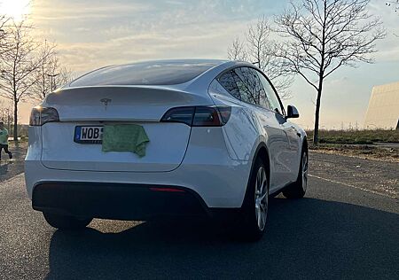 Tesla Model Y RWD