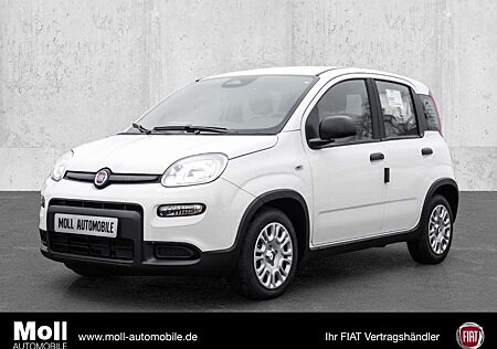 Fiat Panda Mild Hybrid City Paket Gelato Weiß
