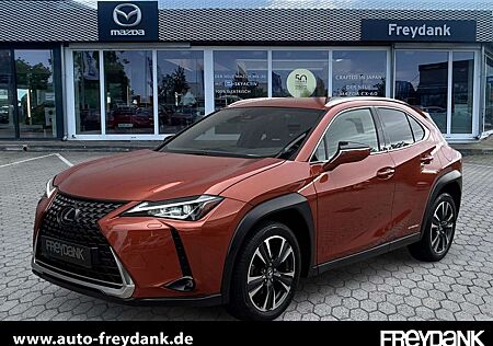 Lexus UX 250h LED ACC