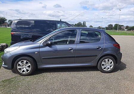 Peugeot 206 + 60