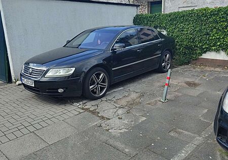 VW Phaeton Volkswagen