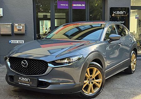Mazda CX-30 Selection AWD/LED/KEY/LEDER/NAVI/360°/BOSE/AHK