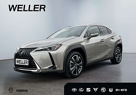 Lexus UX 250h Style Edition *Bi-LED*ACC*CAM*SHZ*CarPlay*