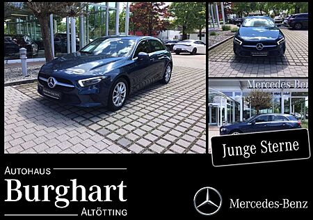 Mercedes-Benz A 220 Progressive/Business/Multibeam/NaviPremium