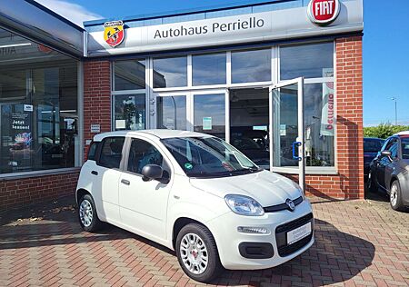 Fiat Panda Easy 1.2 8V