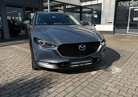 Mazda CX-30 BOSE Leder 360 Kamera Automatik 18" LM