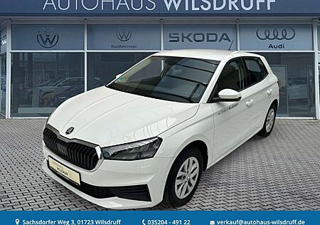Skoda Fabia 1.0 TSi Ambition LED APP-CON SHZ KAMERA