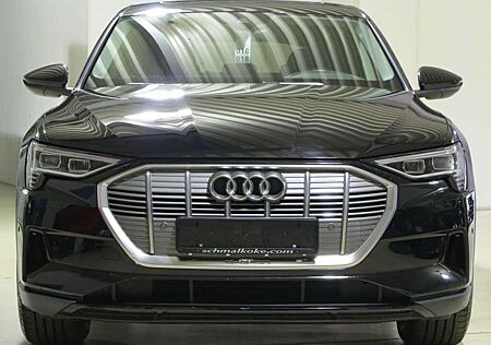 Audi e-tron 50 quattro eSAD Navi Standklima DAB LM19