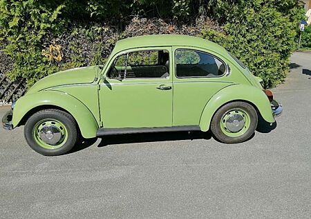 VW Käfer Volkswagen