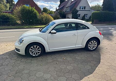 VW Beetle Volkswagen 1.6 TDi Design*Navi+Klimaat*guter Zustand