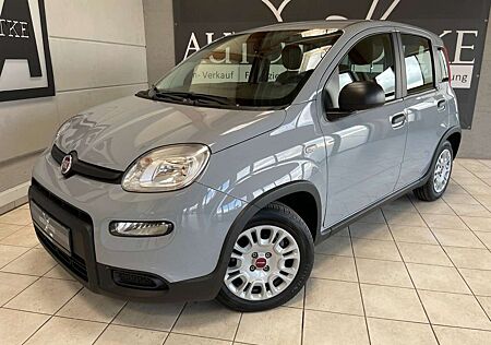 Fiat Panda Base/Klimaanlage/E-Paket/TÜV NEU