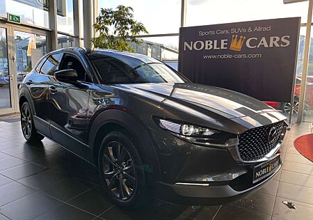 Mazda CX-30 Selection AWD AHK 360° MATRIX LED NAV 18"