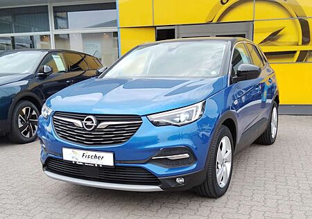 Opel Grandland X Innovation Navi / PDC u. Kamera / heizb. Scheibe