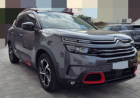 Citroën C5 Aircross Citroen Diesel BlueHDI 180 EAT8 Ponorama
