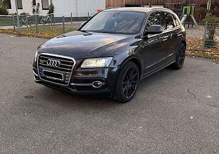 Audi SQ5 gebraucht kaufen Audi SQ5 3.0 V6 TDI quattro Individual Vollausstattung