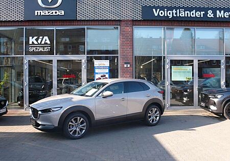Mazda CX-30 Exclusive Autom 360° Kamera 2,5 Ltr. 140 P
