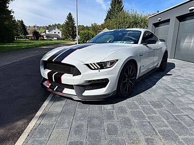 Ford Mustang Shelby GT 350 Fastback