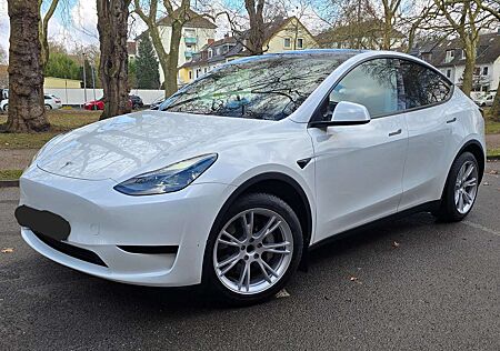 Tesla Model Y RWD