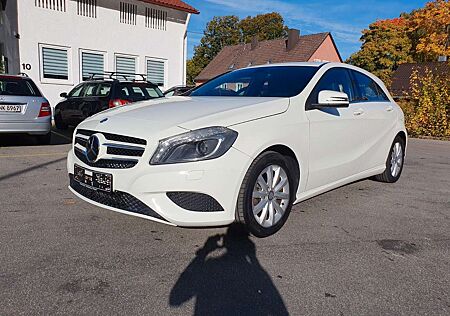 Mercedes-Benz A 180 BlueEff Navi Bi-Xenon R.Kamera TOP ZUSTAND