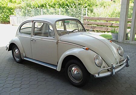 VW Käfer Volkswagen