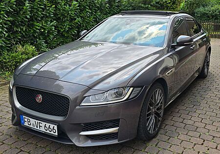 Jaguar XF +30d+Aut.+R-Sport*Pano*Navi