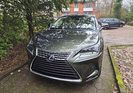 Lexus NX 300h NX Hybrid E-FOUR Luxury Line