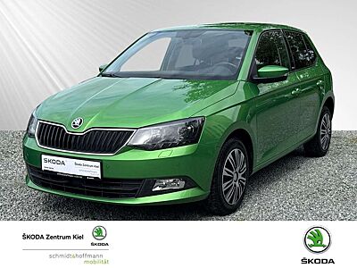 Skoda Fabia 1.2 TSI Joy Klima Einparkhilfe Sitzheizung
