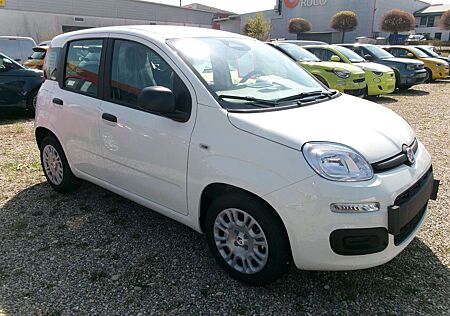 Fiat Panda Pandina ICON weiß