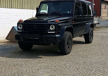 Mercedes-Benz G 350 d Professional (463.342)