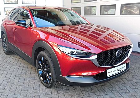 Mazda CX-30 2.5L e-SKY-G140 Homura LED/BSM/Kamera/MRCC