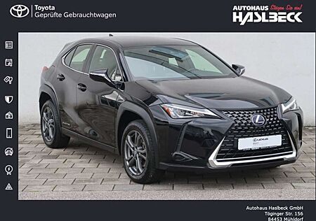 Lexus UX 300e