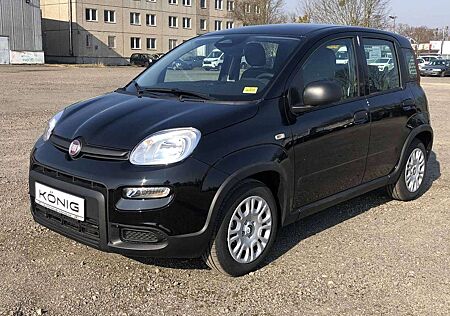 Fiat Panda MY24 1.0 Klima PDC Citypaket