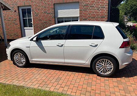 VW Golf Volkswagen VII 5-Türer 1.2 TSI BMT