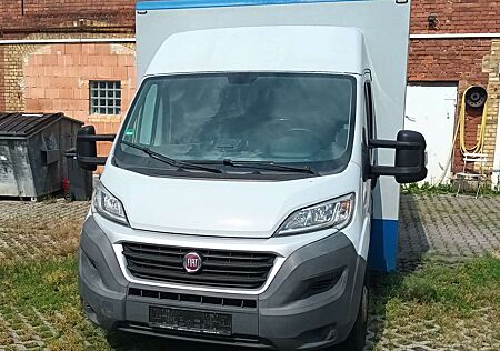 Fiat Ducato +L4H2+Modular