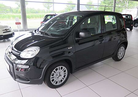 Fiat Panda Pandina