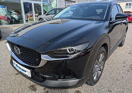 Mazda CX-30 Selection AWD Leder Premium-P. Bose GSD