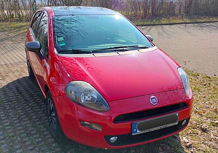 Fiat Punto Young