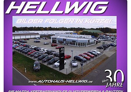 Mazda CX-6e EV (258PS) Takumi Leder Panodach 21" Alufelgen NEU