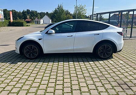 Tesla Model Y RWD