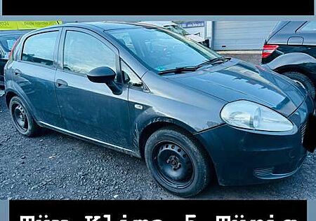 Fiat Grande Punto 1.4 8V Active / 2 JAHRE TÜV /