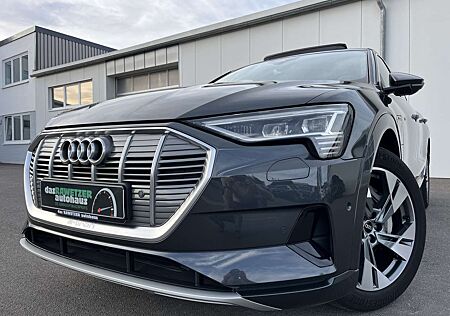 Audi e-tron 50 quattro advanced 170€ m. 20% Anzahlung AHK Pa