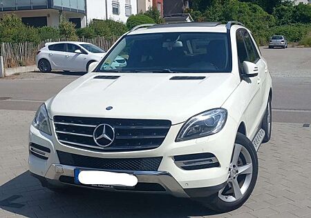 Mercedes-Benz ML 350 CDI BlueTec (166.024)