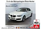 BMW 218 i Advantage Navi Leder Soundsystem HarmanKardon LE