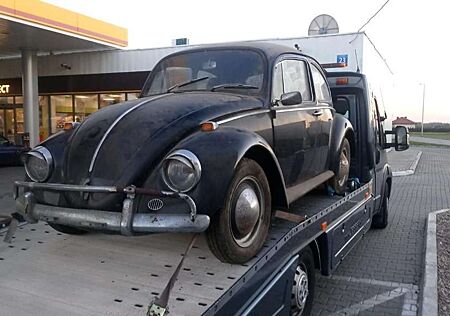 VW Käfer Volkswagen