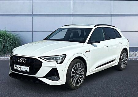 Audi e-tron 50 S-line quattro 230 kW