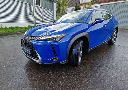 Lexus UX 300e Luxury Line