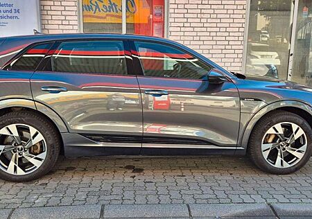 Audi e-tron 55 quattro S line/Matrix/ACC/AHK/360Kam/