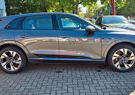 Audi e-tron 55 quattro S line/Matrix/ACC/AHK/360Kam/